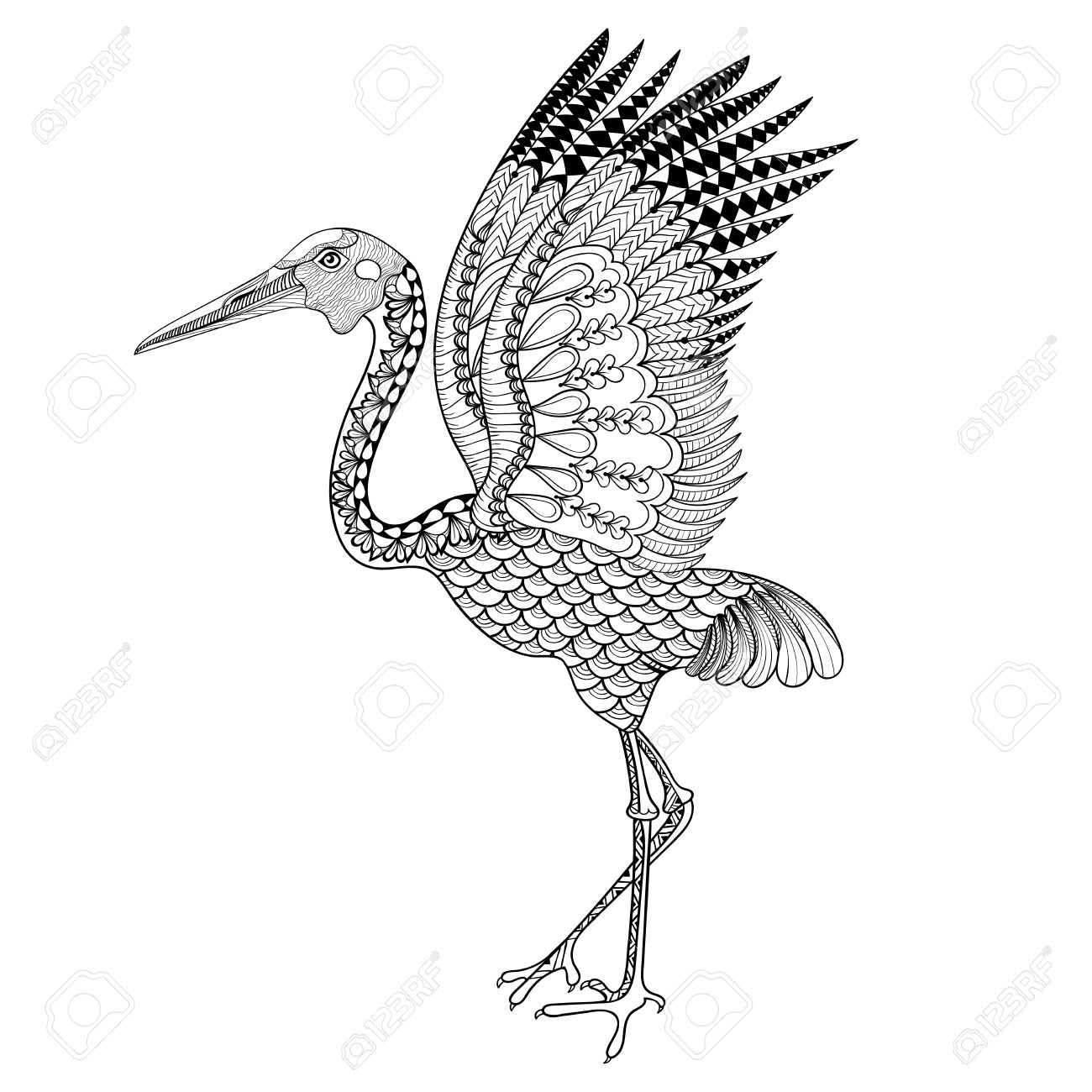 1300x1300 Hand Drawn Brolga, Australian Crane Illustration For Antistress