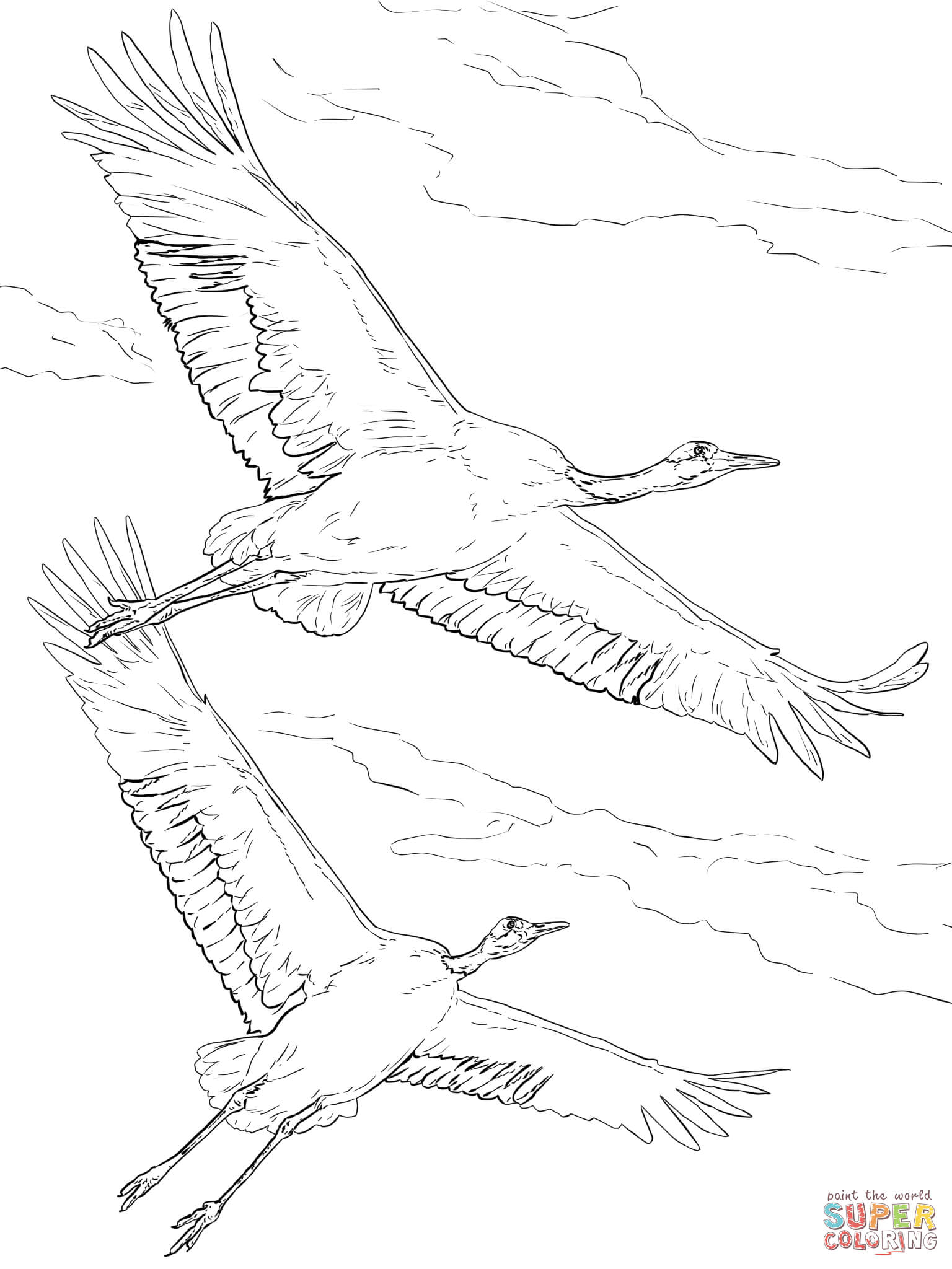 1536x2048 Cranes Coloring Pages Free Coloring Pages