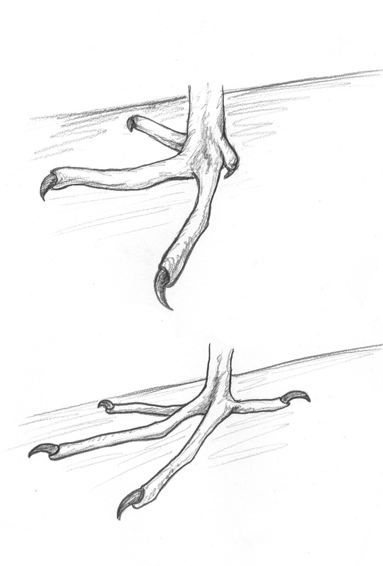 542x800 Scientific Art Amp Design