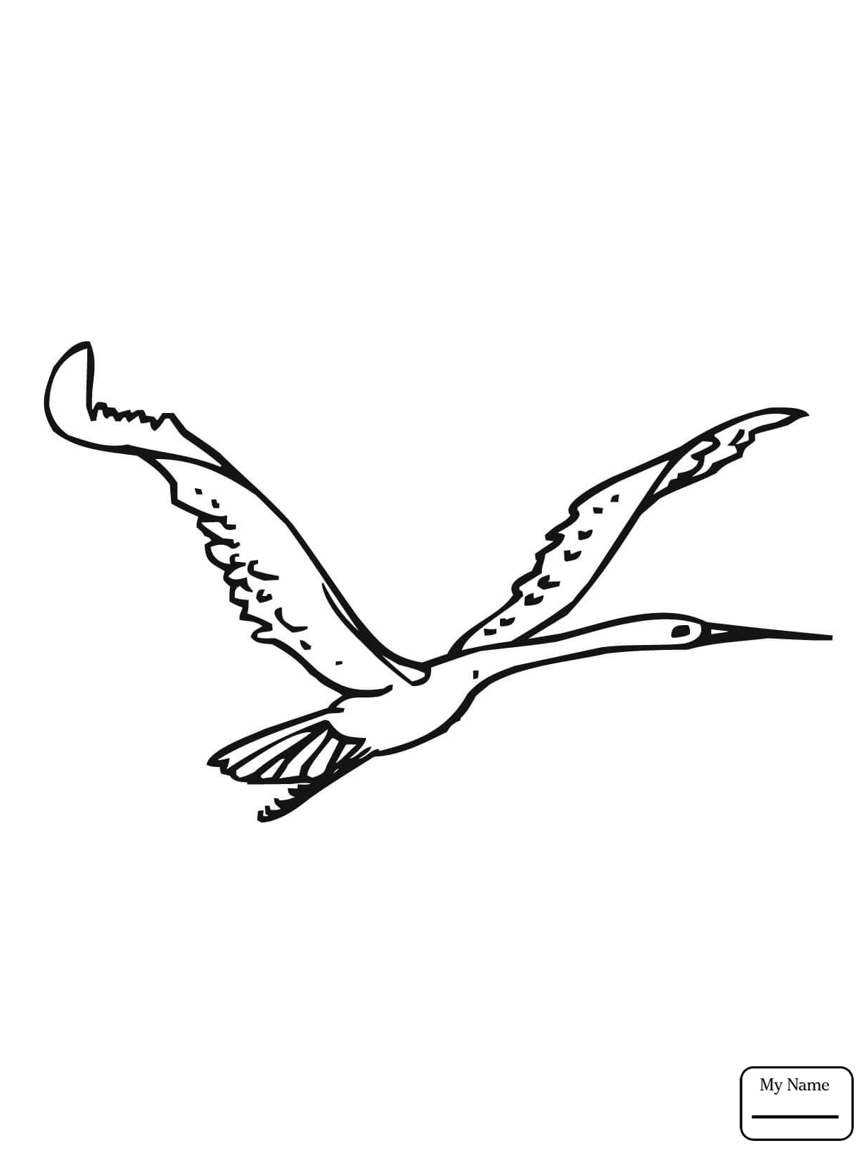 1224x1632 Coloring Pages Birds Cranes Crane On The Lake Mycoloring7