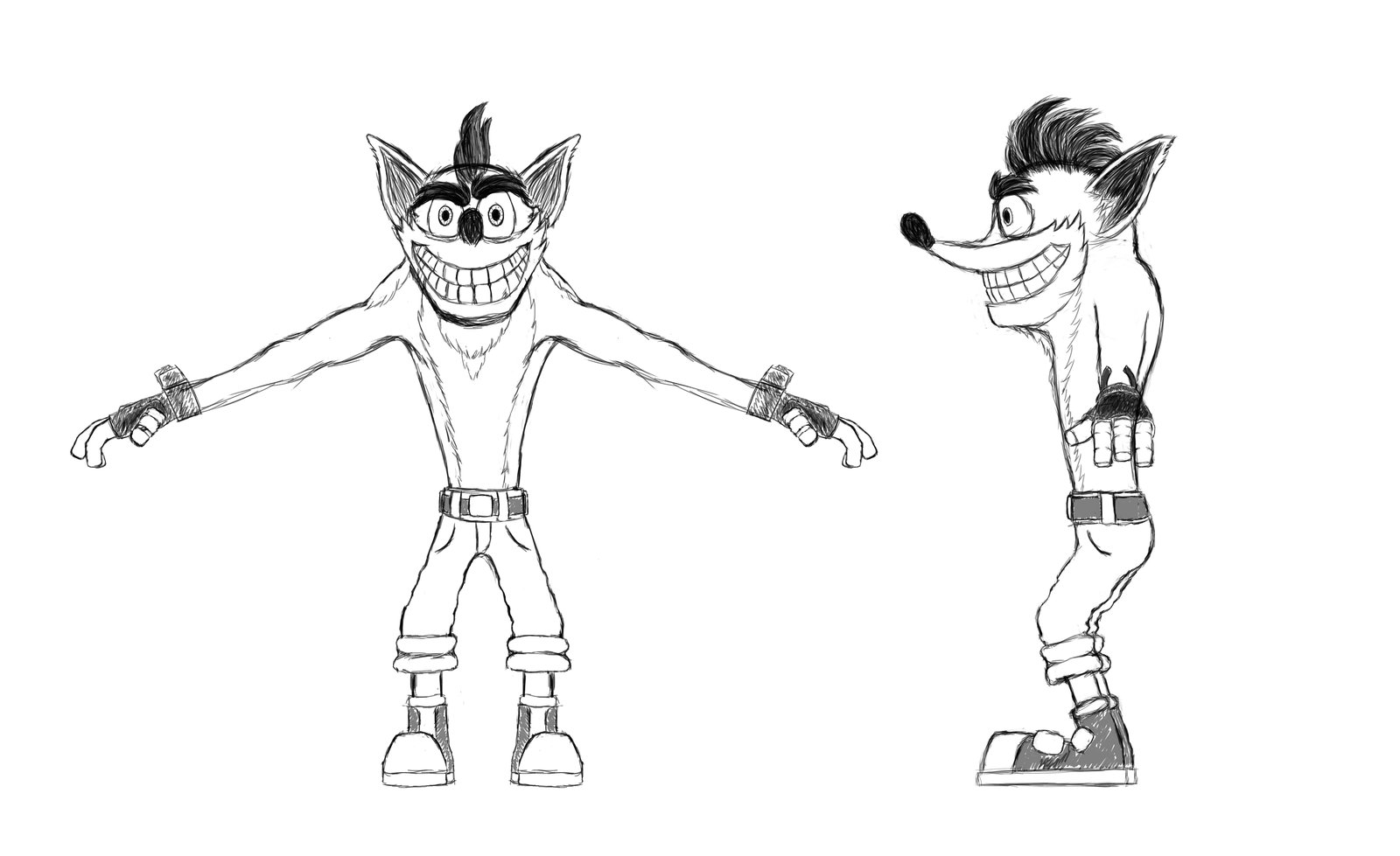 1600x979 Crash Bandicoot Reference By Burnthomas