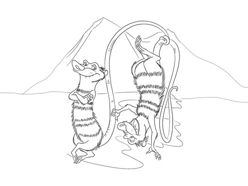 500x375 Ice Age Crash Amp Eddie Images Coloring Page Hd Wallpaper