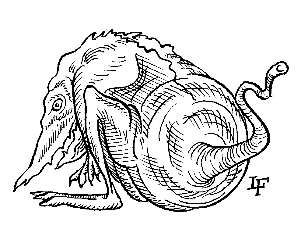 1012x774 Drawings And Illustrations