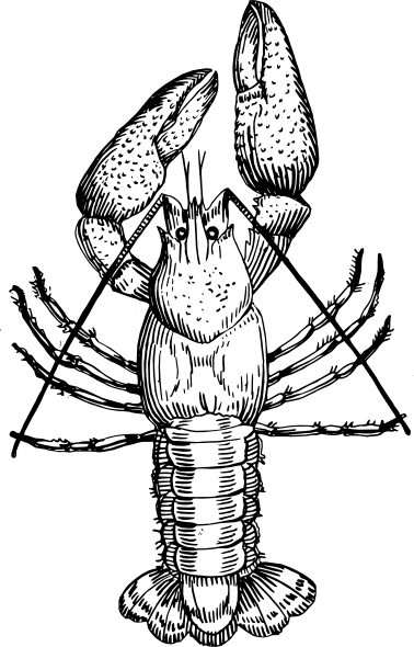 378x590 Crawfish Drawing Clip Art