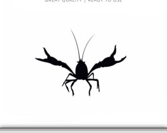 340x270 Crawfish Svg Monogram Svg Crawfish Shirtl Crawfish Clip