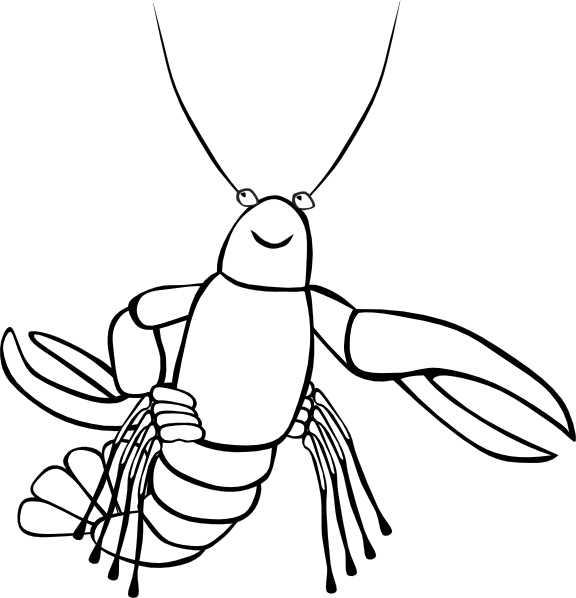 576x598 Crawfish (B And W) Clip Art Free Vector In Open Office Drawing Svg