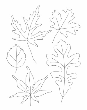 299x377 Contour Leaf Drawings