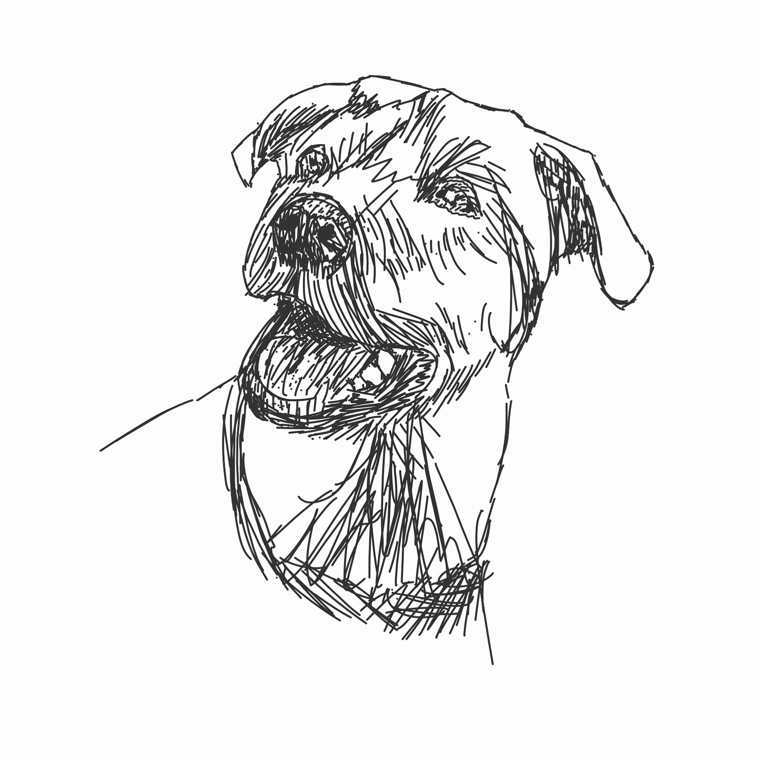 1550x1550 Frankly Unusual