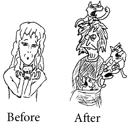 500x500 Frank's Sketchbook Crazy Cat Lady