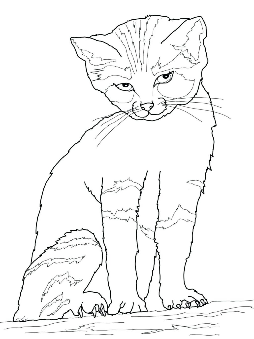 1024x1365 Coloring Page Coloring Pages Cat. Coloring Book Pages Cats. Free