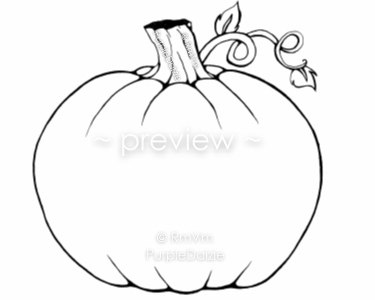 375x300 Pumpkin Printable Adult Color Page Create Your Own Diy Jack O
