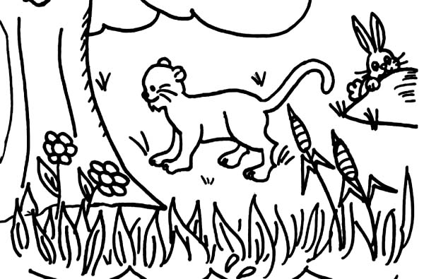 600x395 Drawing Days Of Creation Coloring Pages Coloring Sun