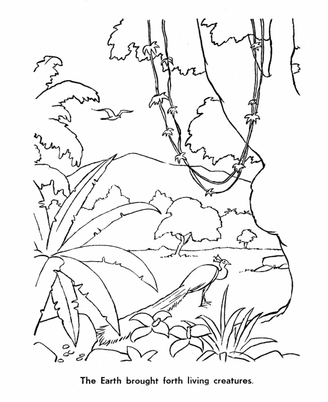 670x820 The 6th Day Of Creation Bible Coloring Pages Bible