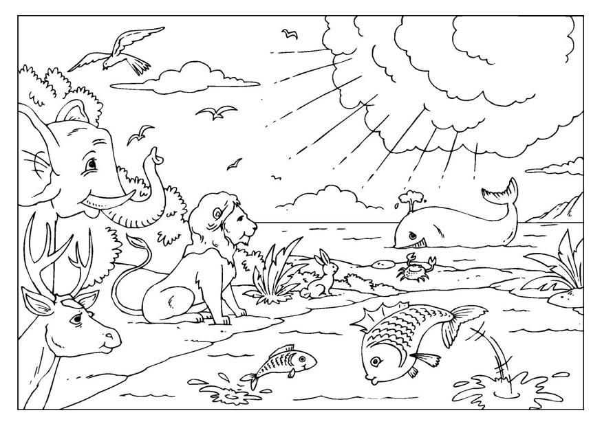 875x620 Coloring Page Creation