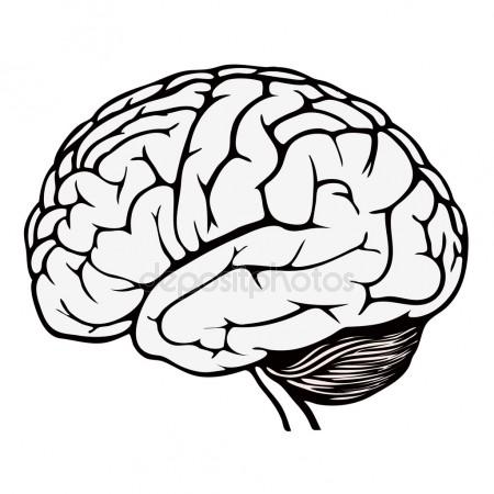 450x450 Brain Stock Vectors, Royalty Free Brain Illustrations
