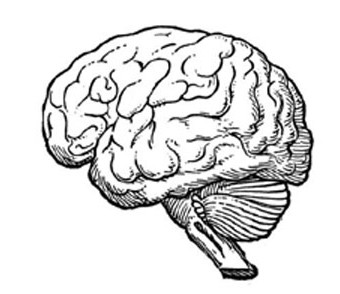 340x294 December 2008 Creative Writing Group