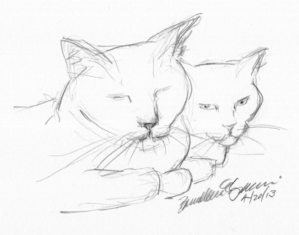 1024x806 Pencil Sketches Of Cats Daily Sketch Watching Me The Creative Cat