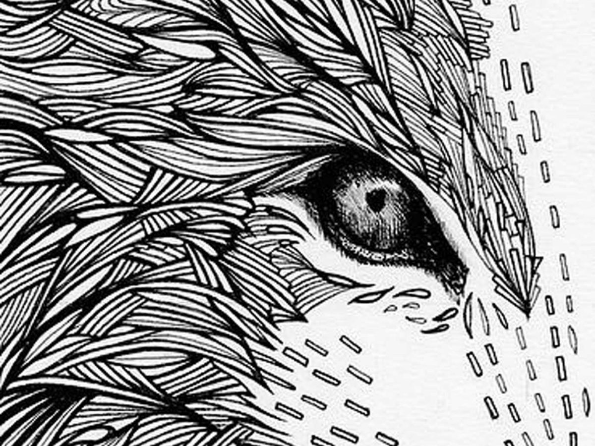 1200x900 Professional Profiles Stories From Talented People In Creative Jobs