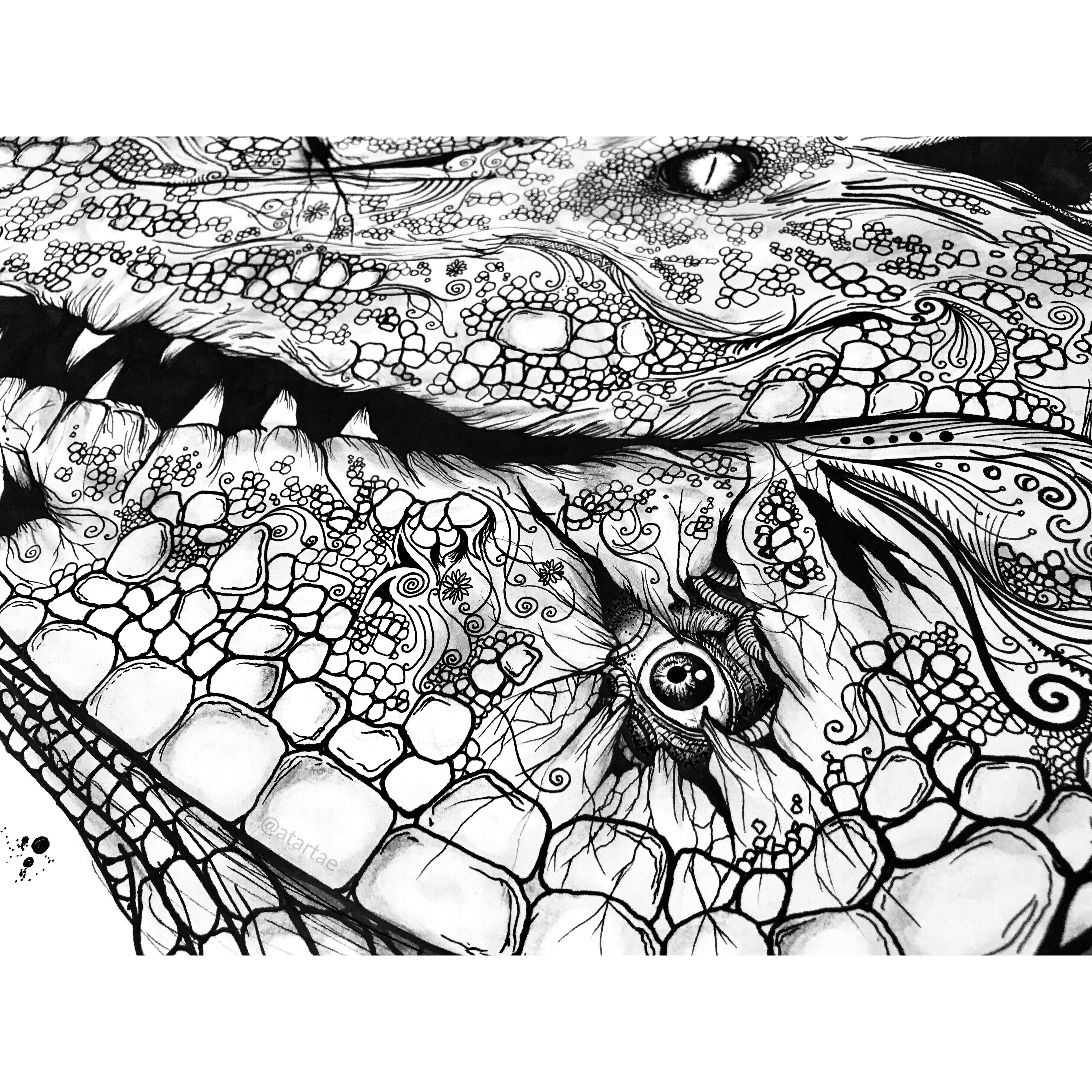 4032x4032 W I L D ( Detalle )