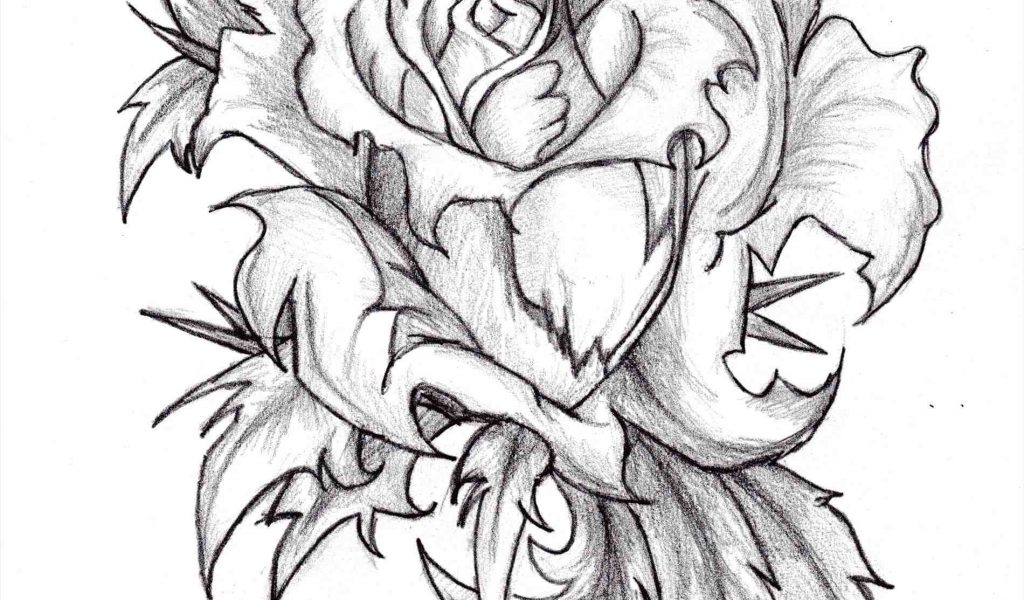 1024x600 Creative Drawings Of Hearts