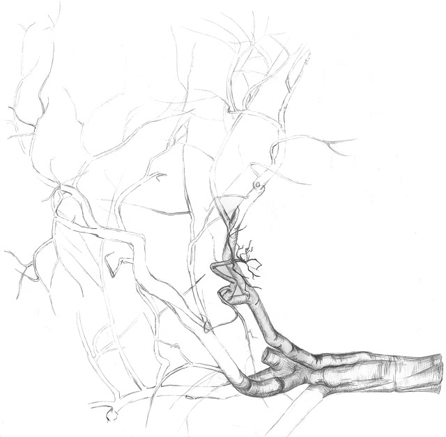 640x628 Free Image On Pixabay