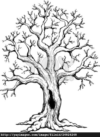 387x530 Tree Drawing Drawing Woodburning, Pyrography