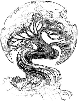 273x350 Tree Sketch By On @ Art