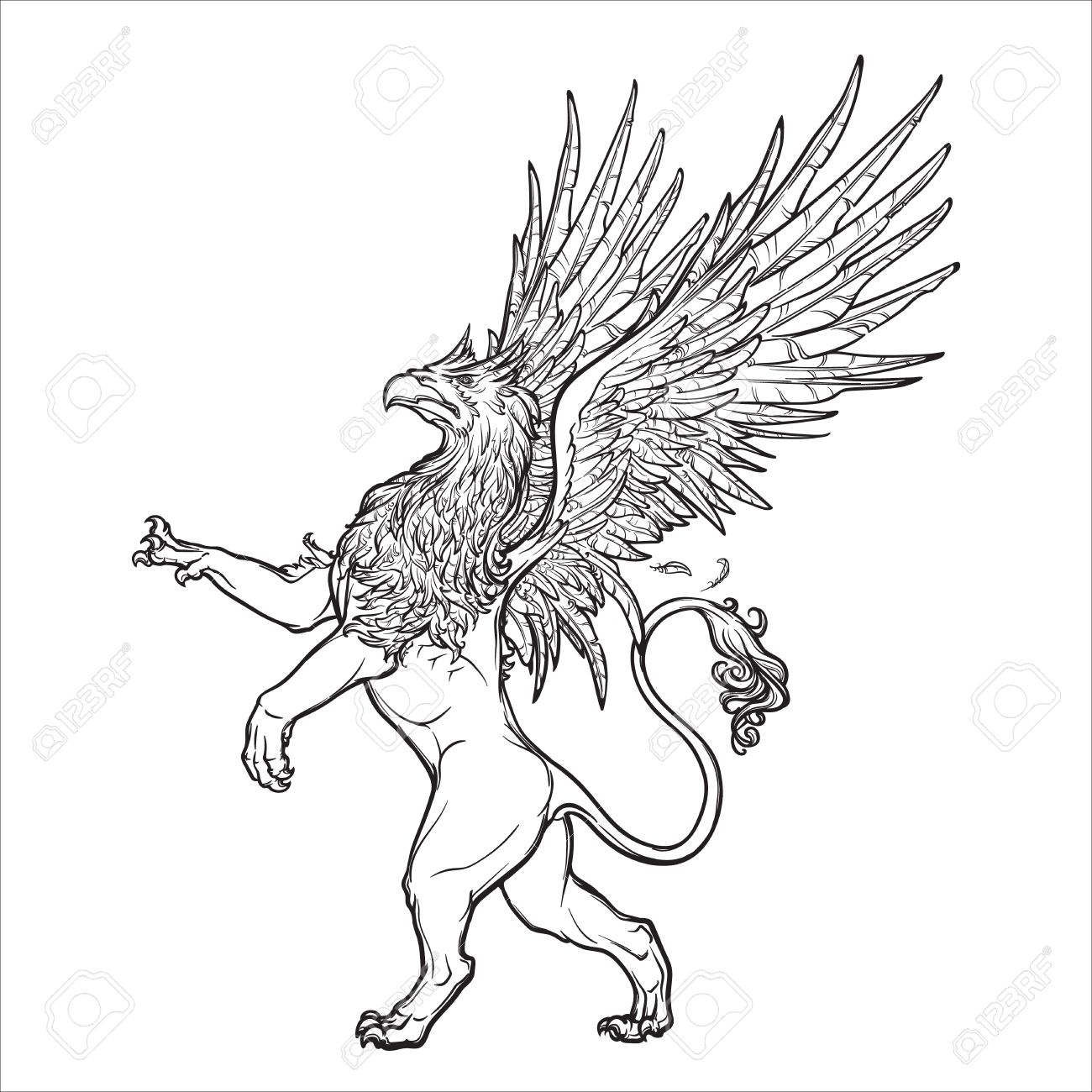1300x1300 Griffin, Griffon, Or Gryphon Legendary Creature From Greek