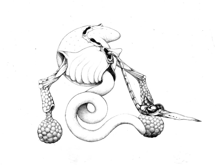 864x657 Surrealist Creature By Art Of Eric Wayne