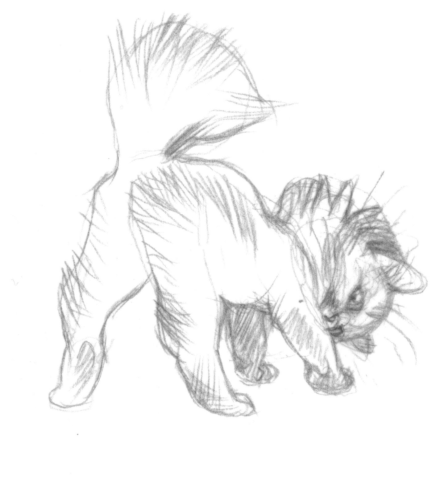 1426x1600 Wendling, Wendling! That's All I Hear! And For Good Reason Look