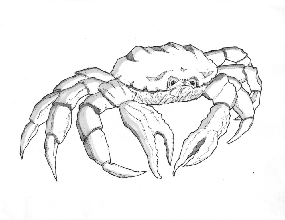 1000x773 Moonarts2.jpg