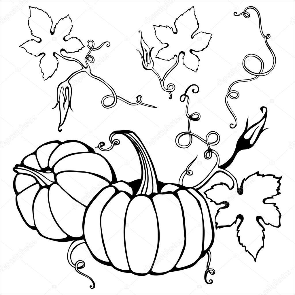 1024x1024 Hand Drawn Pumpkin And Creepy Plant Elements Stock Vector