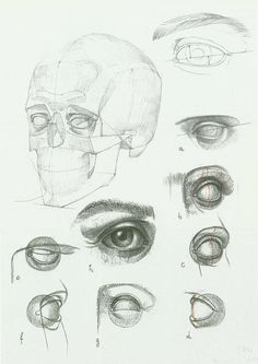 236x333 Tutorial Constructia Corecta A Unui Portret Books, Anatomy