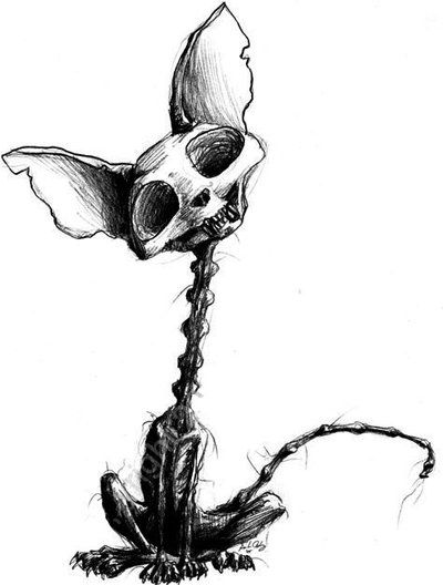 400x528 Pictures Creepy Skull Draw,