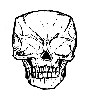 310x346 Skull Drawings