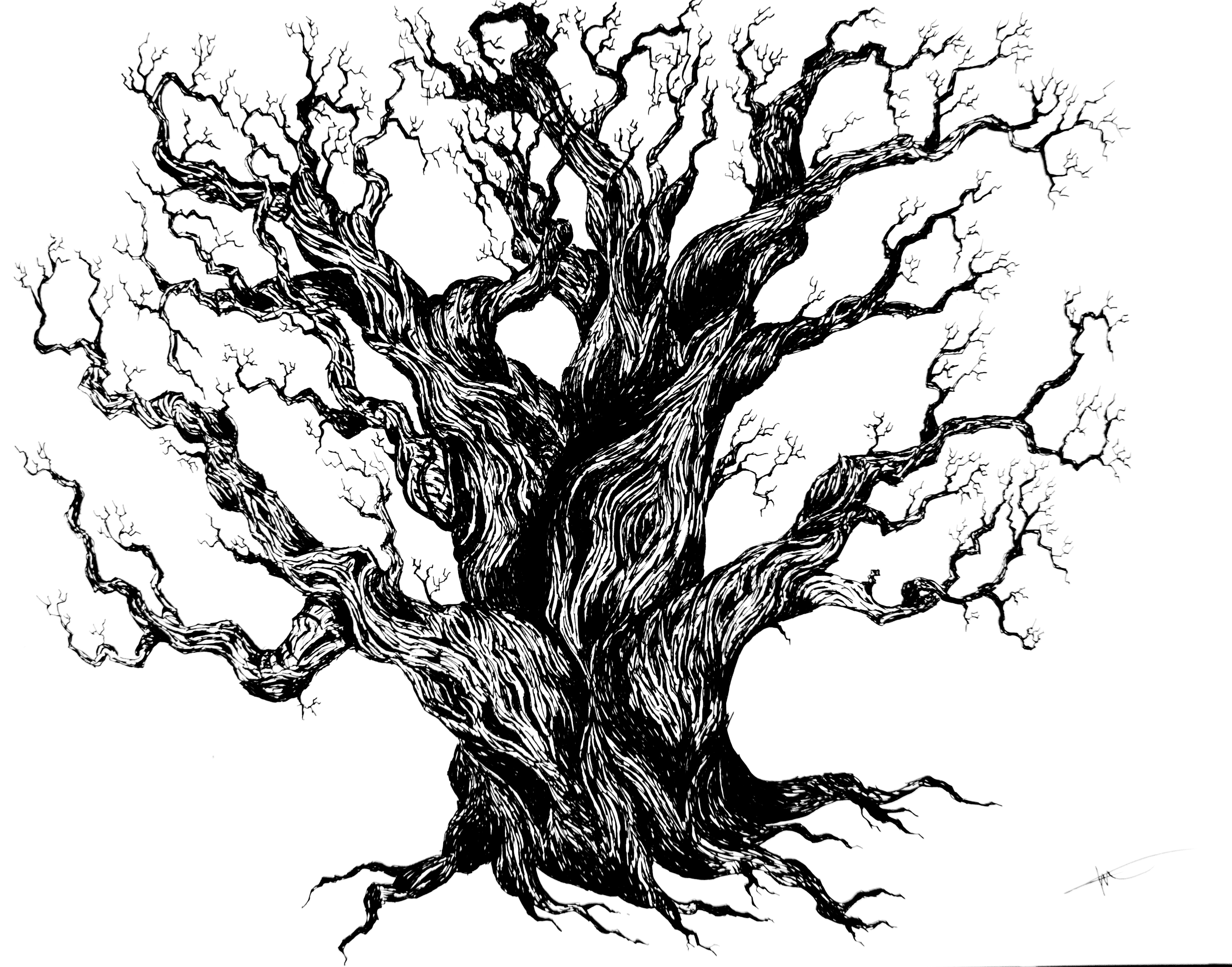 3580x2811 Tree' Drawing Timelapse 19hertz Trees Crafty