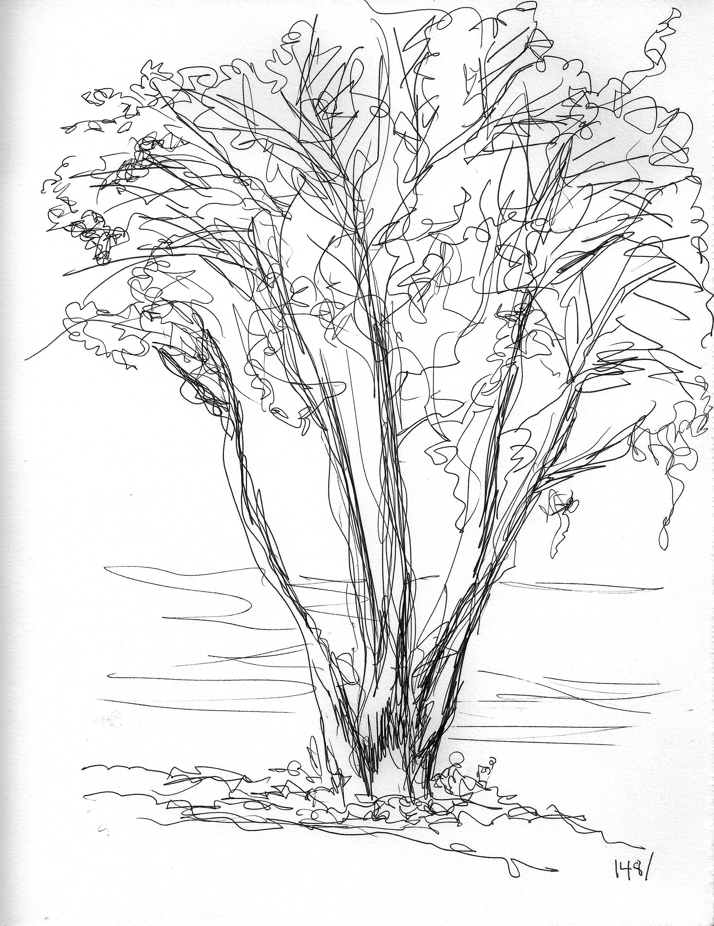 2480x3217 Daily Drawings Myblacksketchbook Page 2