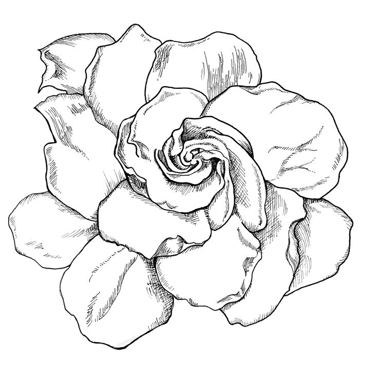 736x736 Tattoos Cause Why Not. On Tattoos And Body Art