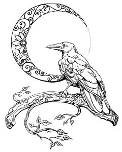 240x300 Crescent Moon Drawings