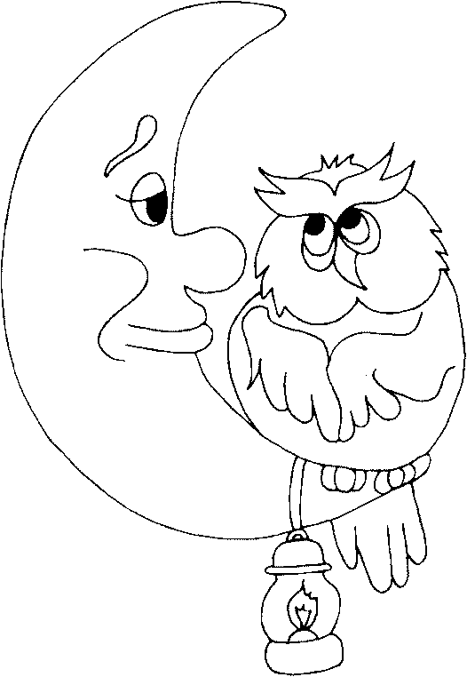 526x762 Coloring An Owl On A Moon S Crescent Picture