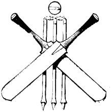 218x220 Cricket Sport Graphics Zendoodle Doo Cricket