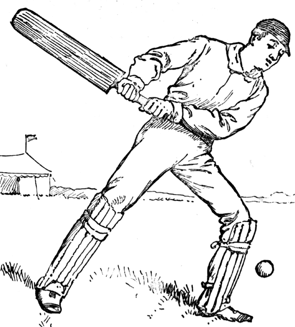 577x640 Cricket Clipart Etc