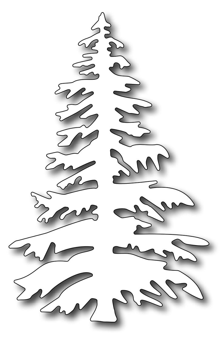 736x1118 Drawn Fir Tree Majestic Tree