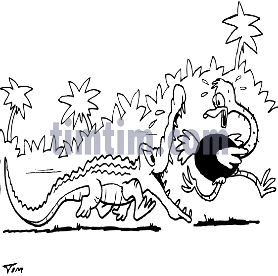 562x557 Free Drawing Of Crocodile Eats Ostrich Bw From The Category