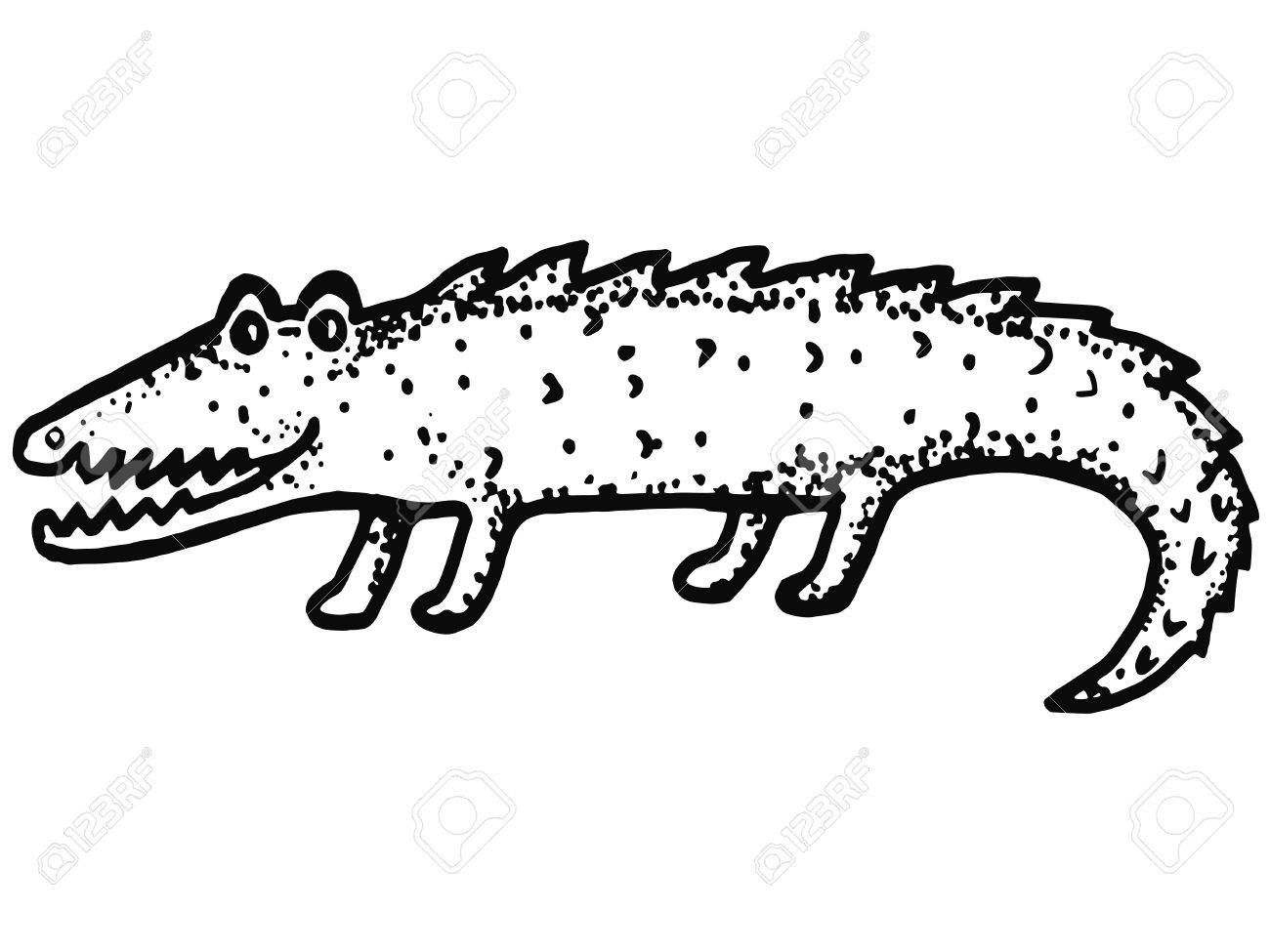 1300x975 Hand Drawn, Cartoon, Sketch Illustration Of Crocodile Royalty Free