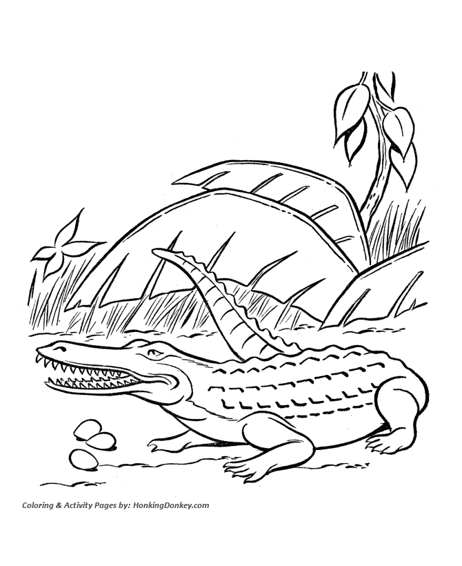 670x820 Dinosaur Coloring Pages Printable Crocodile Coloring Page Sheet