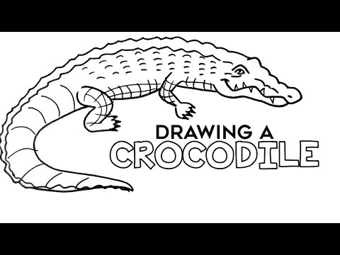 480x360 Drawing A Simple Crocodile