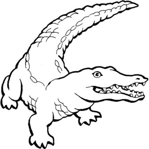 300x300 Kids Drawing Of Crocodile Coloring Page Coloring Sun