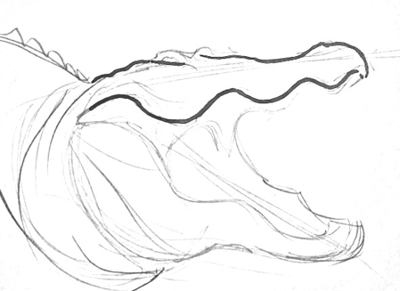 400x291 Learn How To Draw A Crocodile