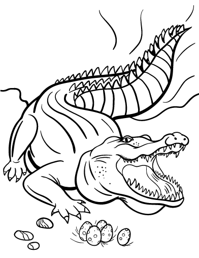 392x507 Crocodile Coloring Pages